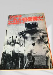 これが自衛隊だ