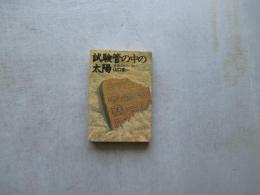 試験管の中の太陽　常温核融合に挑む