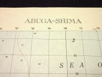 地形図　富山　虻ガ島(氷見市)　50000分の1　日本語表記なし　1枚