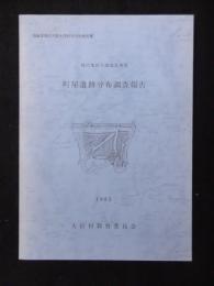 後沢地区土地改良事業　町屋遺跡分布調査報告
