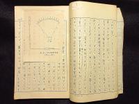 原稿　文化畜犬全書　第一巻　犬の心理　133枚