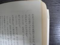 日本の憑きもの : 社会人類学的考察
