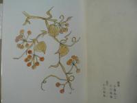 野村英雄全集