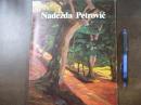 Nadezda Petrovic　(1873-1915)