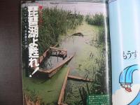 週刊現代　1981年9月3日サマー特別号