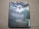 螺旋海岸 : notebook