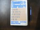 Elements of Literature Essay Fiction Poetry Drama Film
