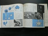 球根草花 : 作り方の手引