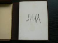 日本先史土器の縄紋(山内清男 著) / 古本、中古本、古書籍の通販は