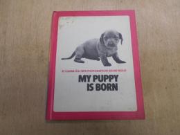 my puppy is born　洋書　絵本　英語