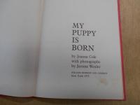 my puppy is born　洋書　絵本　英語