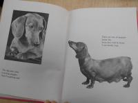 my puppy is born　洋書　絵本　英語