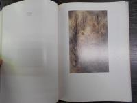 The fantastic art of Sulamith Wülfing