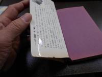 山谷 : 都市反乱の原点