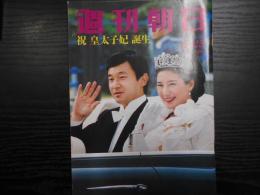 週刊朝日　1993年6月25日増大号