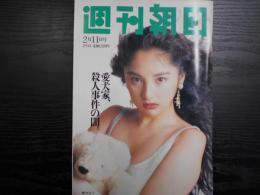 週刊朝日　1994年2月11日