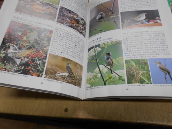 校庭の樹木 校庭の雑草 新版 校庭の野鳥 校庭の作物 岩瀬徹 唐沢孝一 他 古本 中古本 古書籍の通販は 日本の古本屋 日本の古本屋