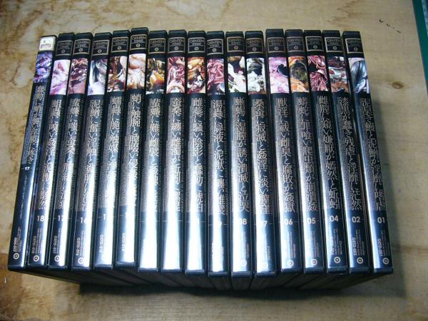 アダルトDVD 17点まとめて GENTEN1-18（3・10欠）+幻奇17巻のみ 泥臭き