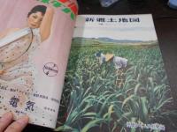 新郷土地図 : 沖縄
