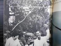 週刊朝日　1978年7月14日増大号