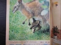 週刊朝日　1972年5月5日