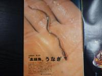 週刊朝日　1971年5月14日