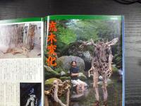 週刊朝日　1995年9月29日