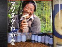 週刊朝日　1995年10月13日
