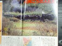週刊朝日　1995年12月15日