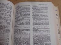 Webster's concise family dictionary