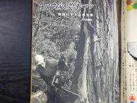 週刊朝日　1965年6月11日