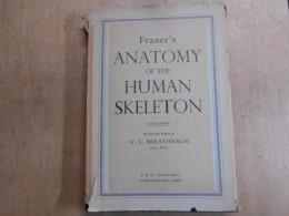 Anatomy of the human skeleton