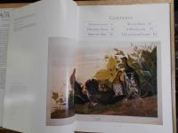 John James Audubon