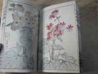 珍花図譜 上下 2冊