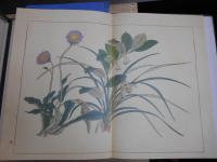 四季の花　　全10巻 解説付き 帙入り