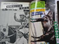 週刊 『競馬報知』 特別企画アカネテンリュウ物語、上り馬ホーワセキト、など。　