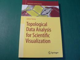 Topological Data Analysis for Scientific Visualization (Mathematics and Visualization)