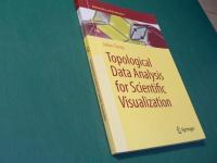 Topological Data Analysis for Scientific Visualization (Mathematics and Visualization)