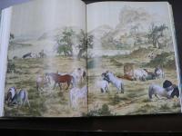 神筆丹青 : 郎世寧來華三百年特展　