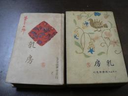 小説 乳房