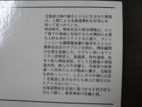 北海道開拓史　長編小説