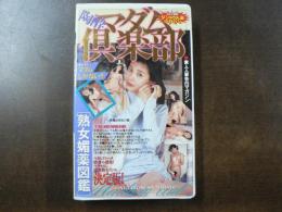 VHS アダルトビデオ 陶酔 マダム倶楽部  カラー70分