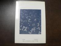 シナプス小胞 : その生物物理化学