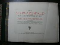 戦前 独文 観光案内　DER SCHWARZWALD IN FARBENPHOTOGRAPHIEN (シュヴァルツヴァルト)