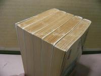 特命全権大使米欧回覧実記