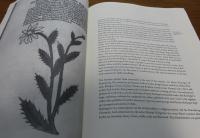 本の芸術と歴史　 ノーマ・レヴァリー  ：　The Art & History of  BOOKS　〔英語〕 