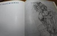 ハンス・ベルメール作品集（絵画・人形） ： Hans Bellmer 　〔洋書/フランス語〕