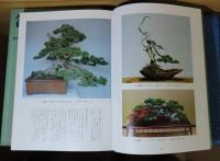 盆栽 BONSAI  本質と観賞・仕立て方