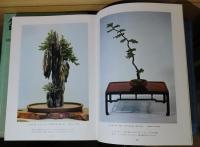 盆栽 BONSAI  本質と観賞・仕立て方