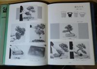 盆栽 BONSAI  本質と観賞・仕立て方